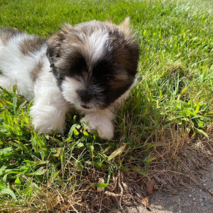 Meet your Posher, Katelynn